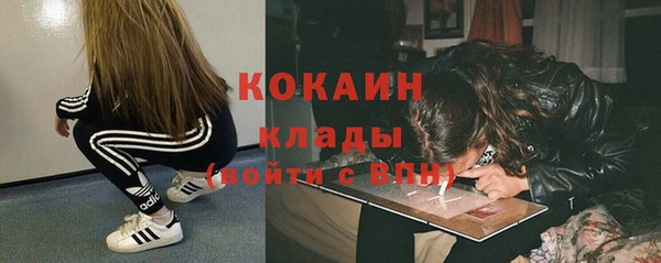 a pvp Тайга