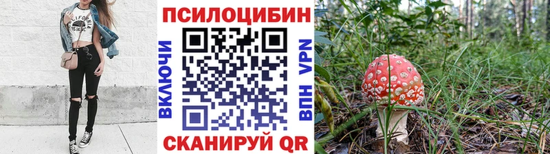 OMG ССЫЛКА  Белоярский  Псилоцибиновые грибы GOLDEN TEACHER 